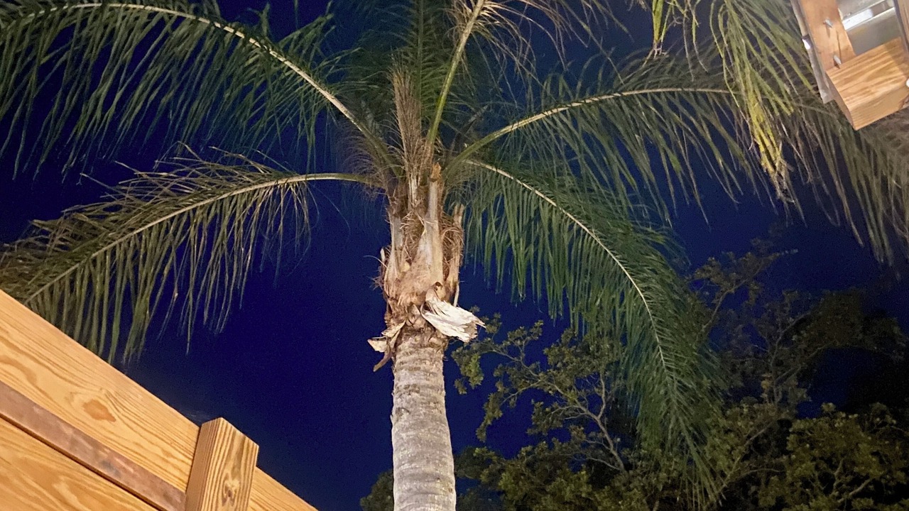 Photo of Outdoor in Downtown