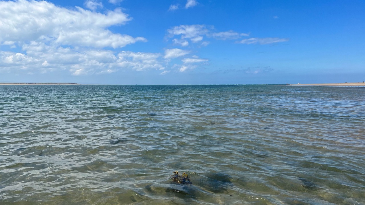 Photo of Others in South Molton