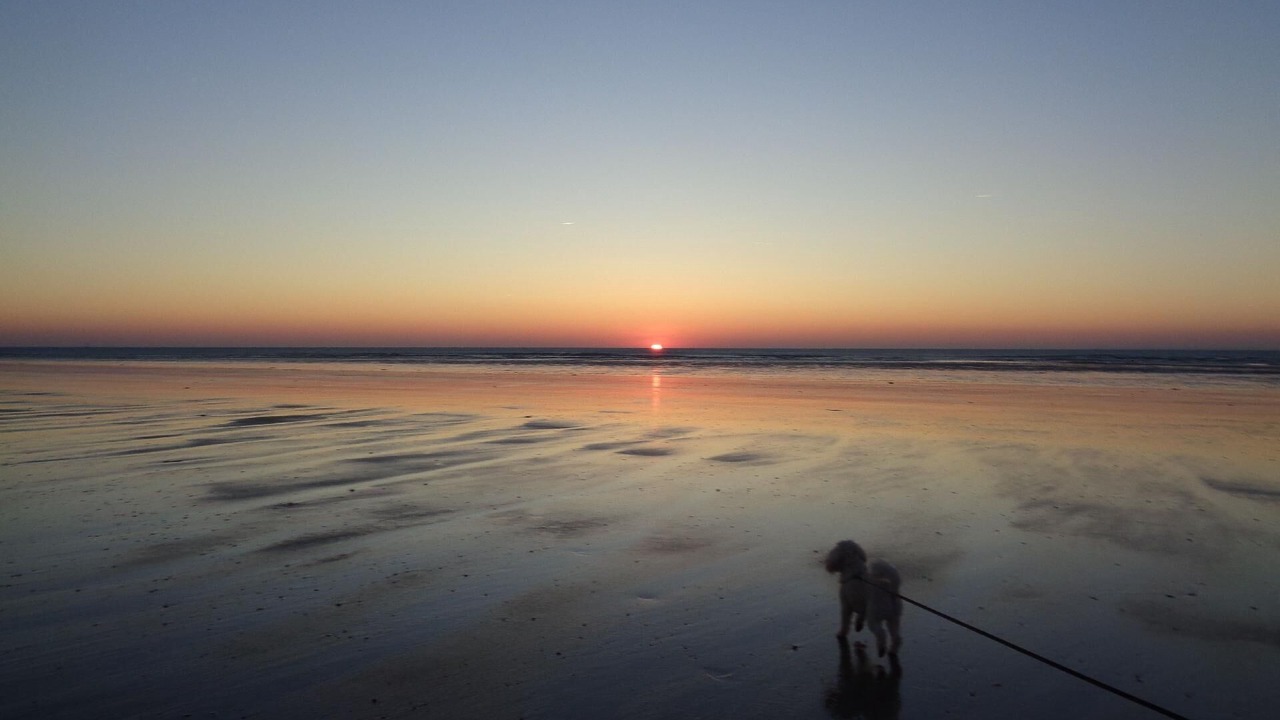 Photo of Others in Anneville-sur-Mer