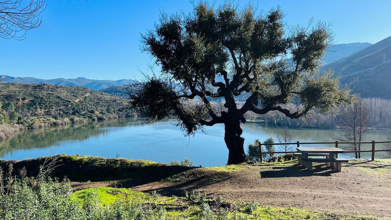 Photo of Outdoor in Carballeda de Valdeorras