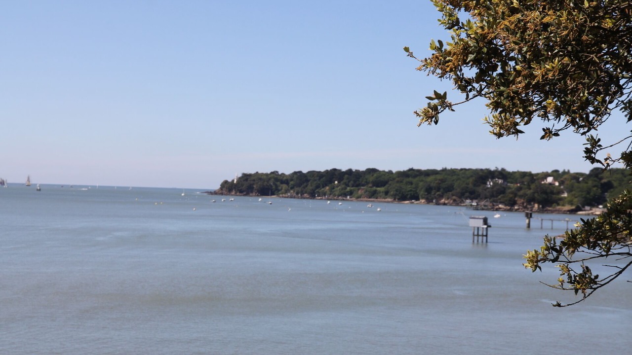 Photo of Others in Saint-Nazaire