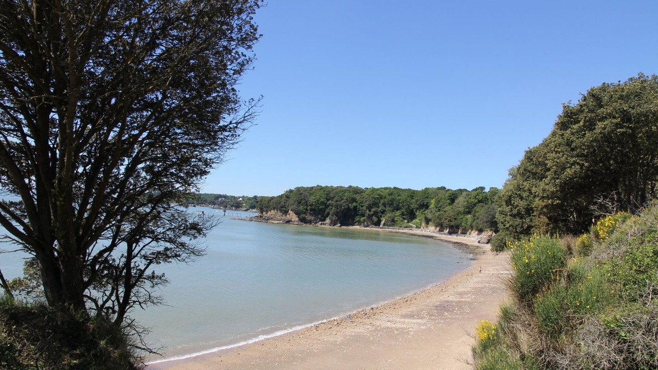 Photo of Others in Saint-Nazaire