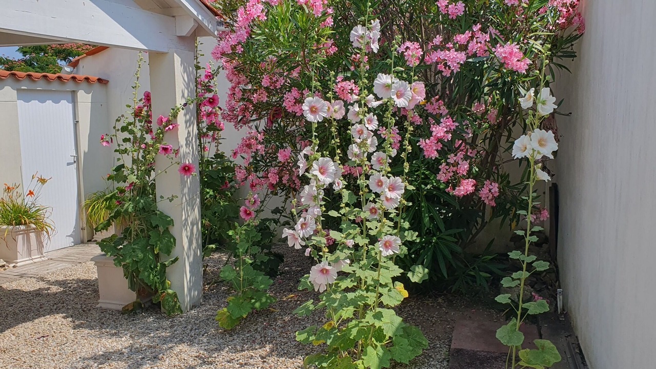 Photo of Outdoor in LʼAiguillon-sur-Mer