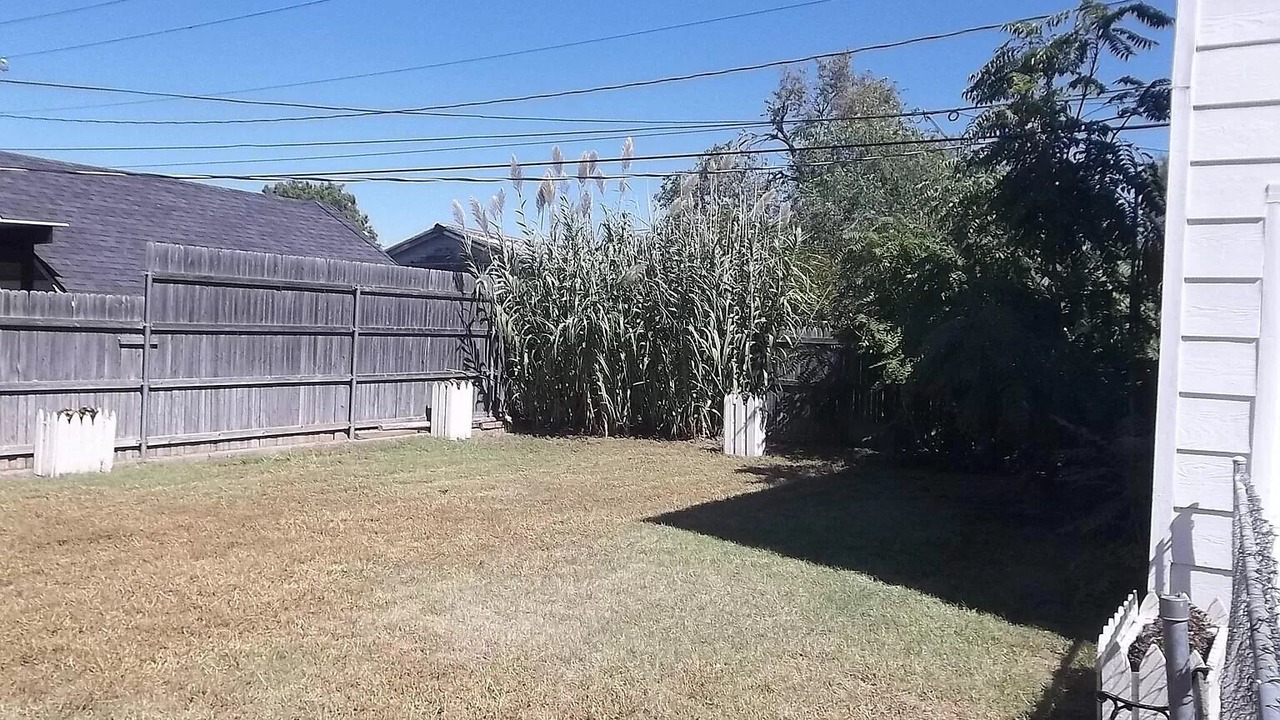 Photo of Outdoor in Amarillo