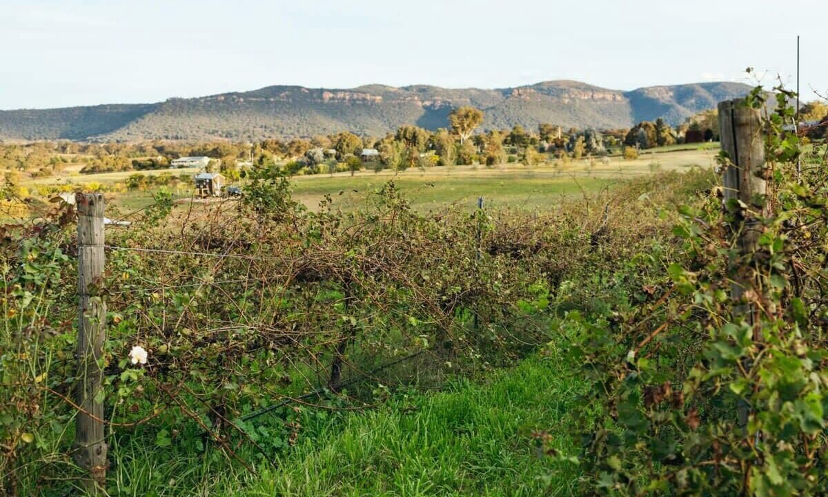 Photo of Others in Rylstone