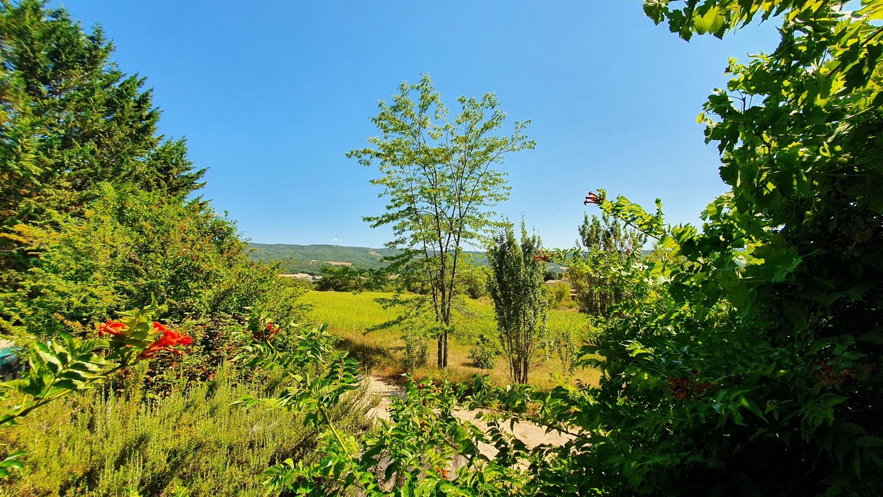Photo of Outdoor in Bras-d'Asse