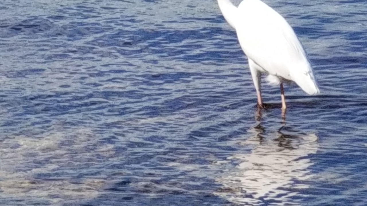 Photo of Outdoor in Anglers Park