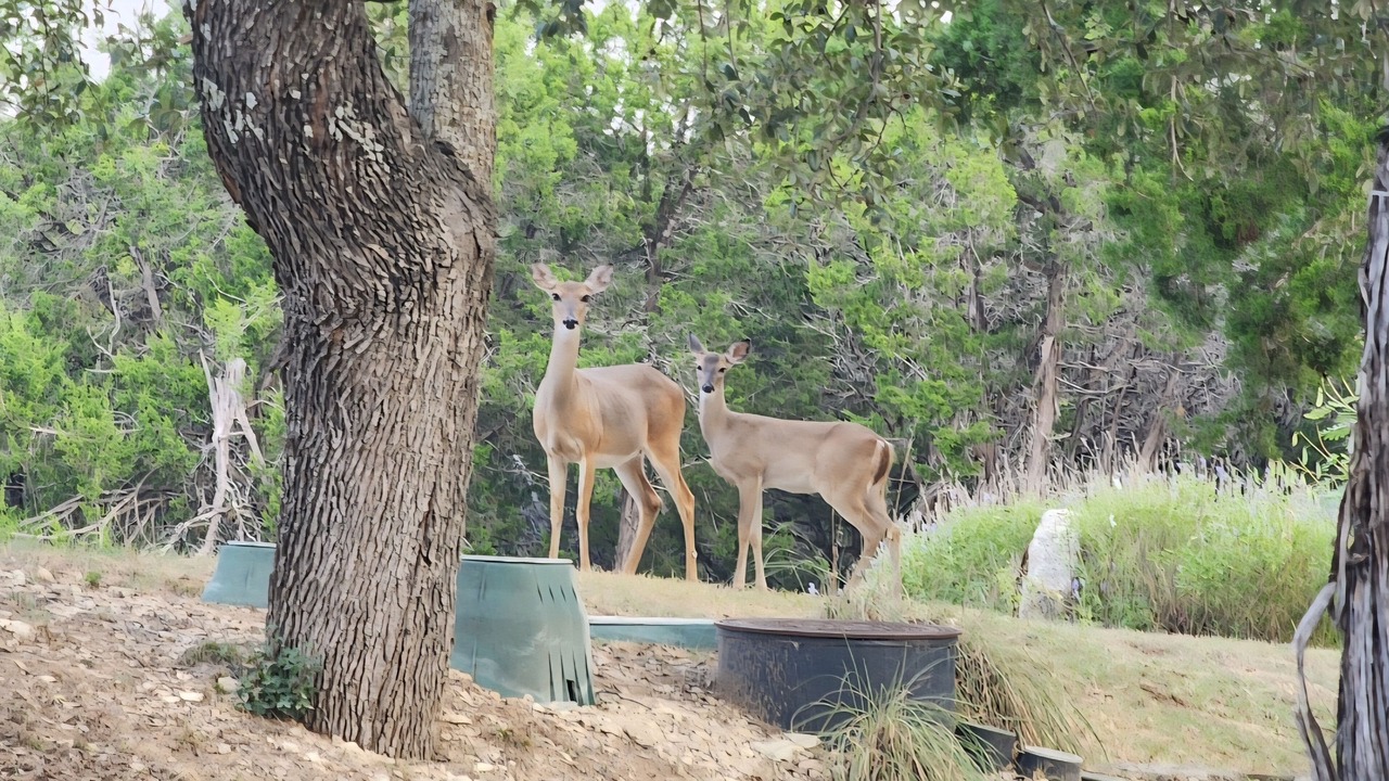 Photo of Outdoor in Jonestown