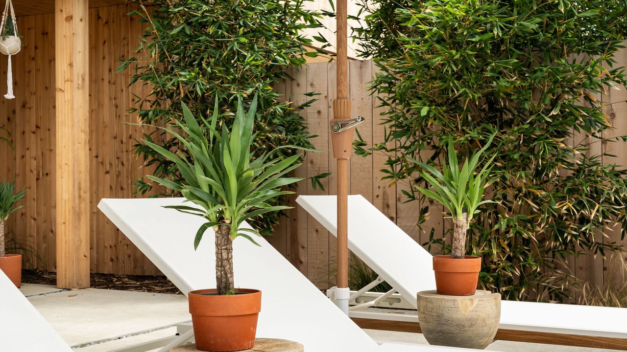 Photo of Patio Balcony in Leucadia