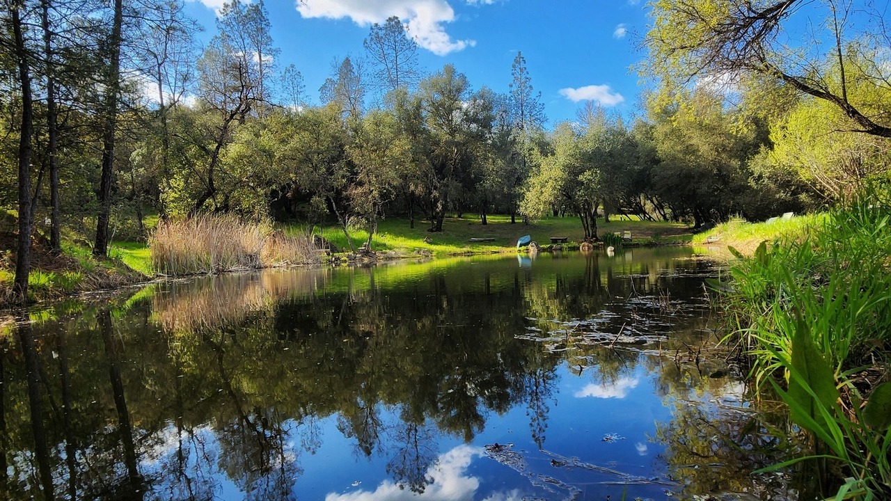 Photo of Outdoor in Cedar Ridge
