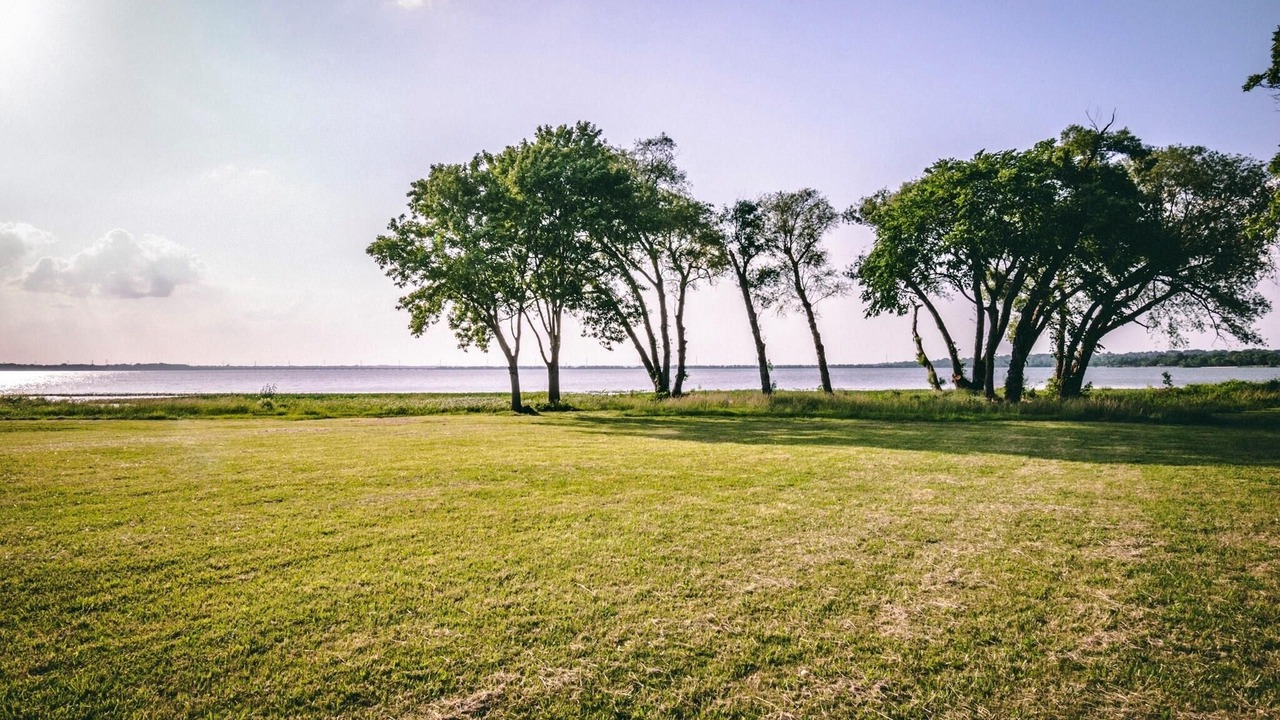 Photo of Others in Rockwall