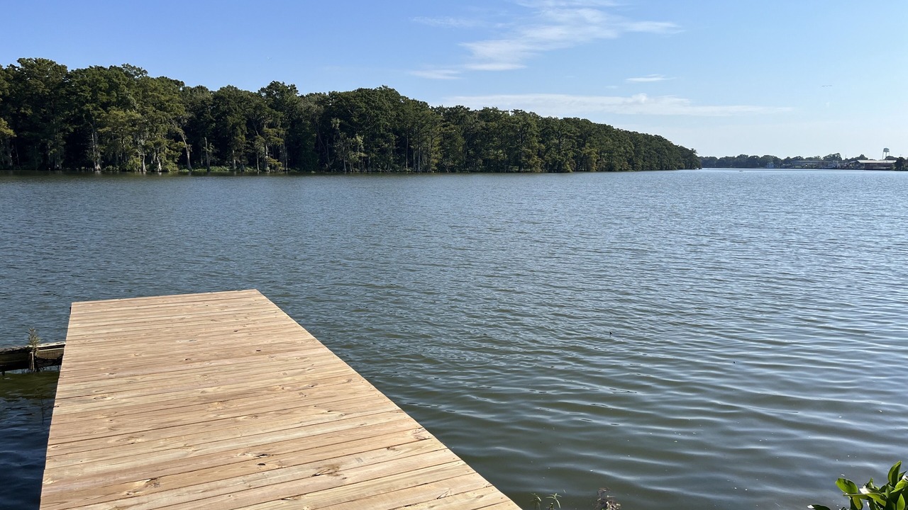 Photo of Others in Bayou Vista