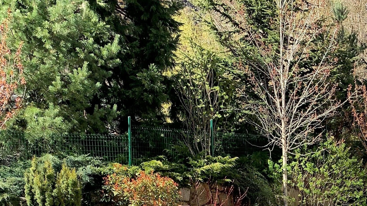 Photo of Outdoor in Encamp