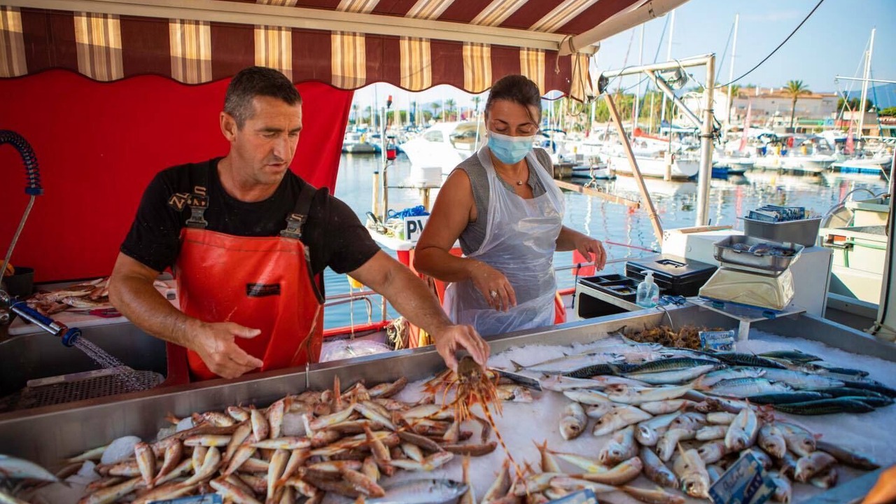 Photo of Others in Saint-Cyprien