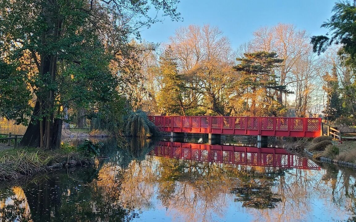 Photo of Outdoor in Saint-Cyprien
