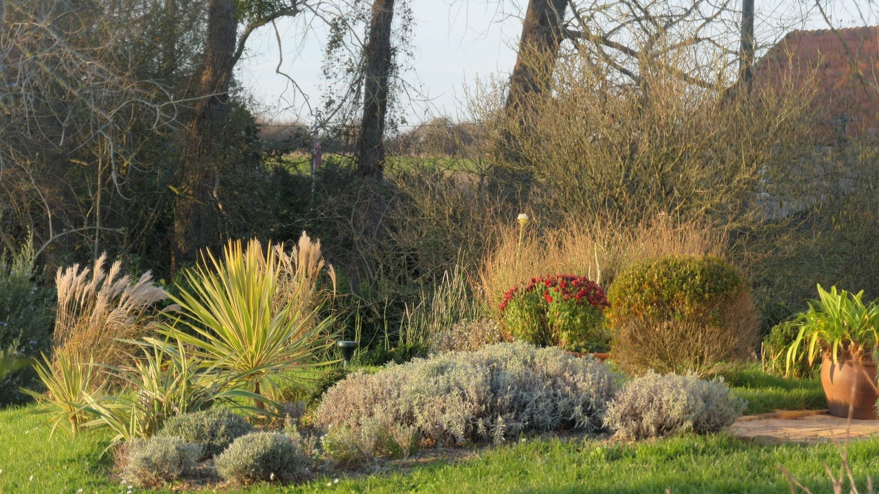 Photo of Outdoor in Senoville