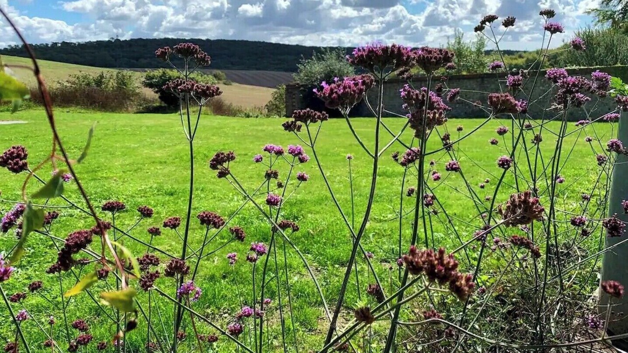 Photo of Outdoor in Buriton