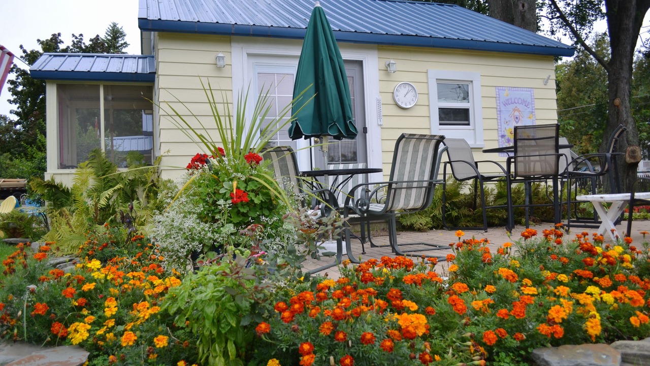 Photo of Outdoor in Port Austin