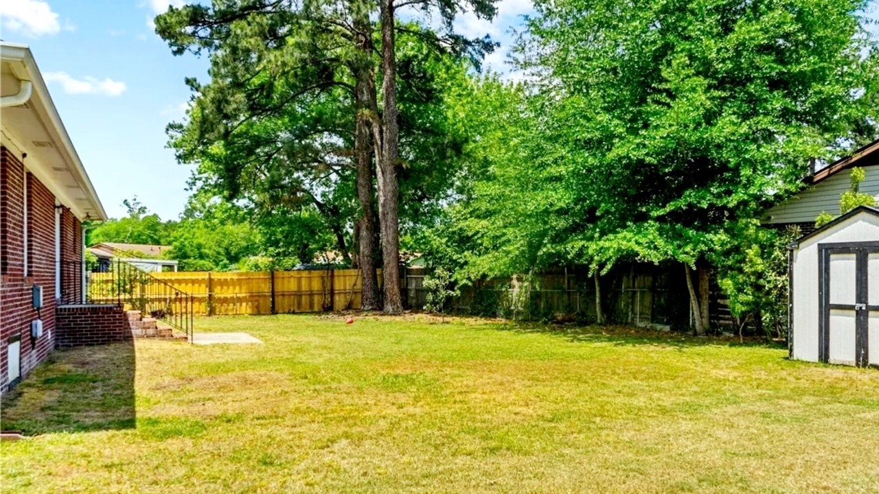 Photo of Outdoor in Pine Forest