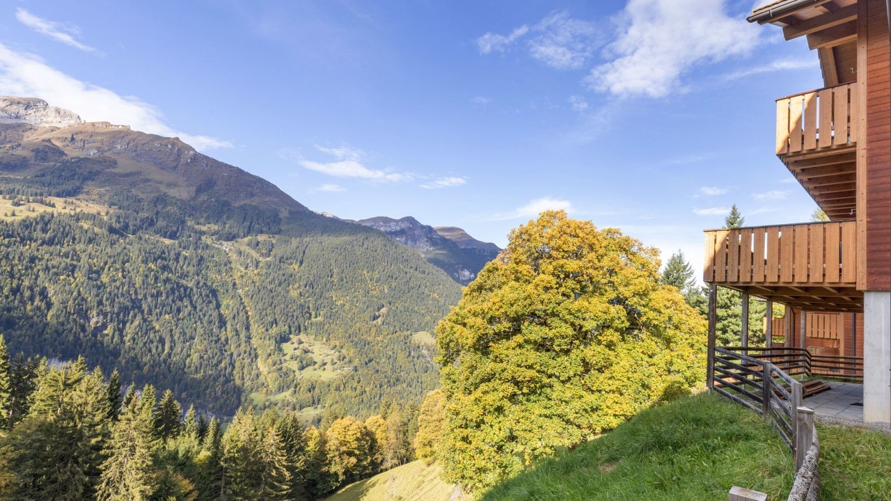 Photo of Others in Wengen