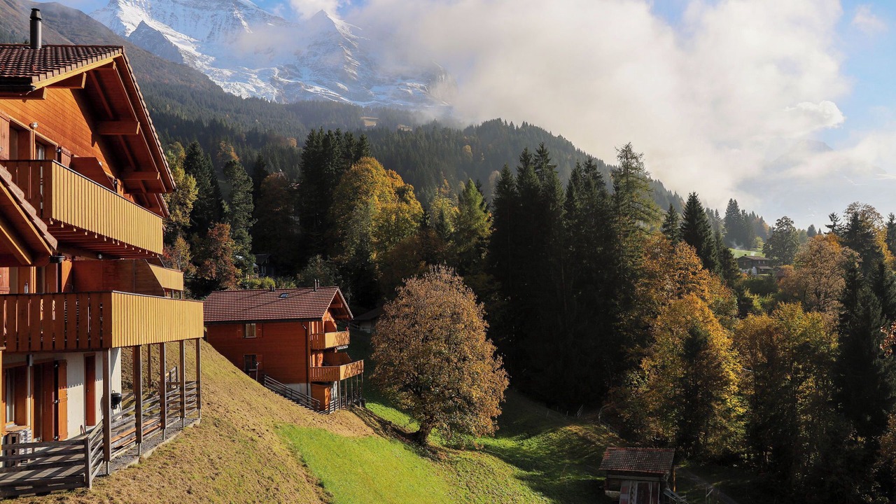 Photo of Others in Wengen