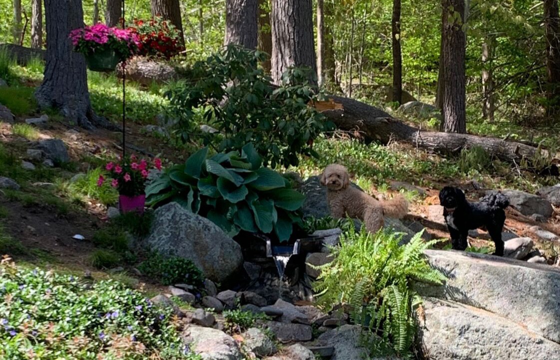 Photo of Outdoor in Manchester-by-the-Sea