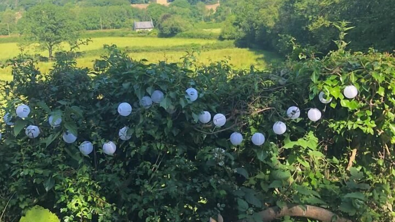 Photo of Others in Felinfach