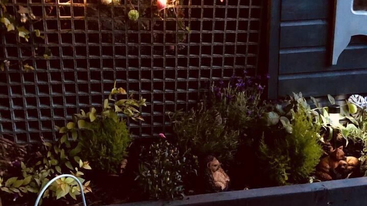 Photo of Others in Felinfach