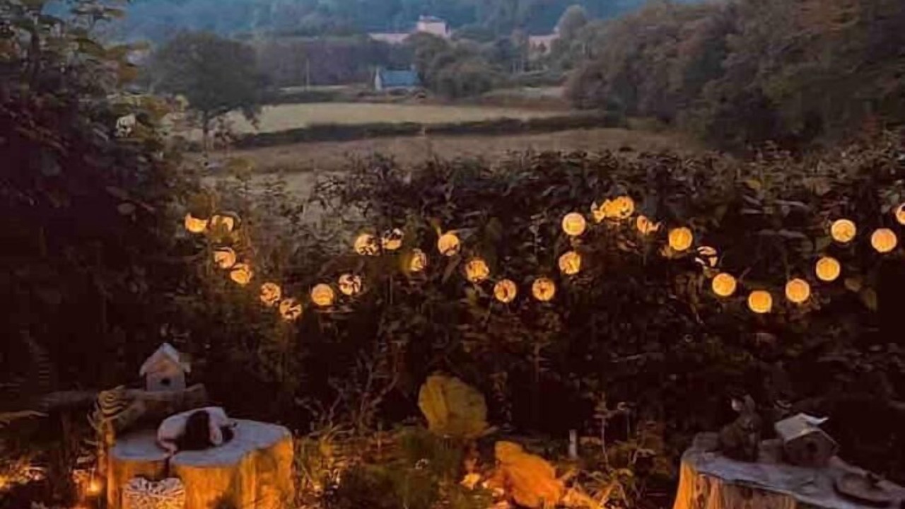 Photo of Others in Felinfach