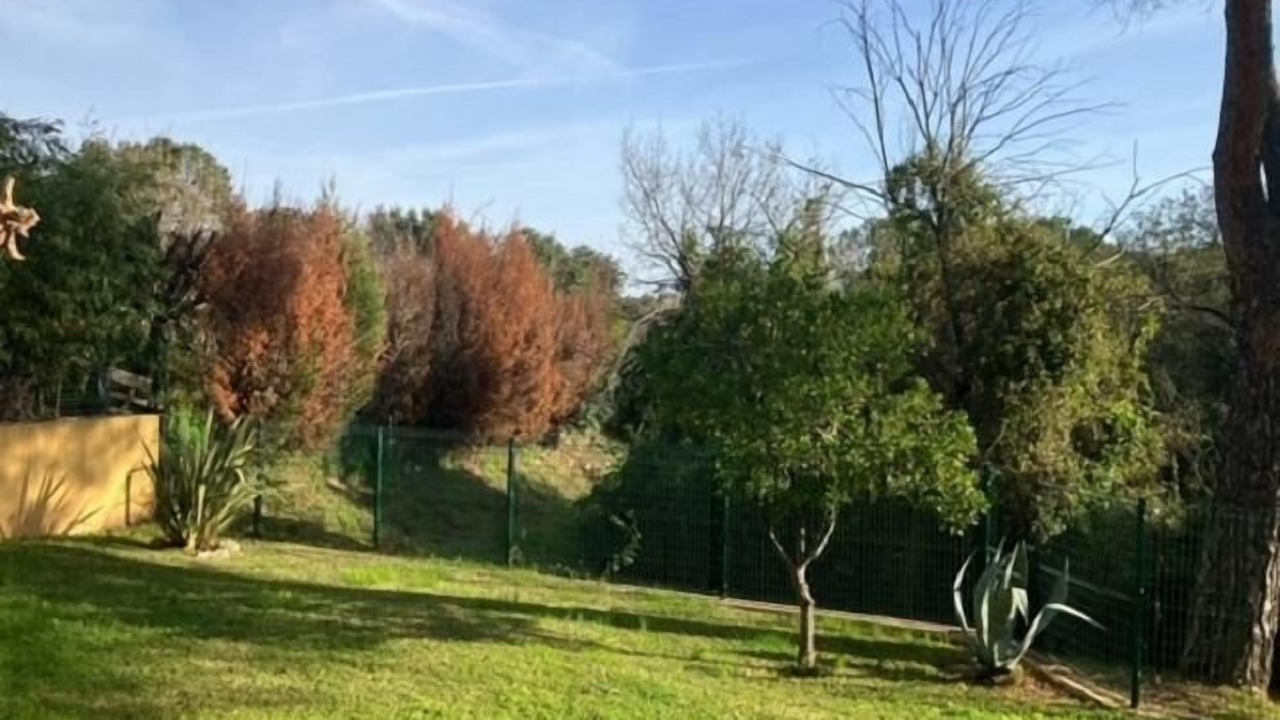 Photo of Outdoor in Puget-sur-Argens