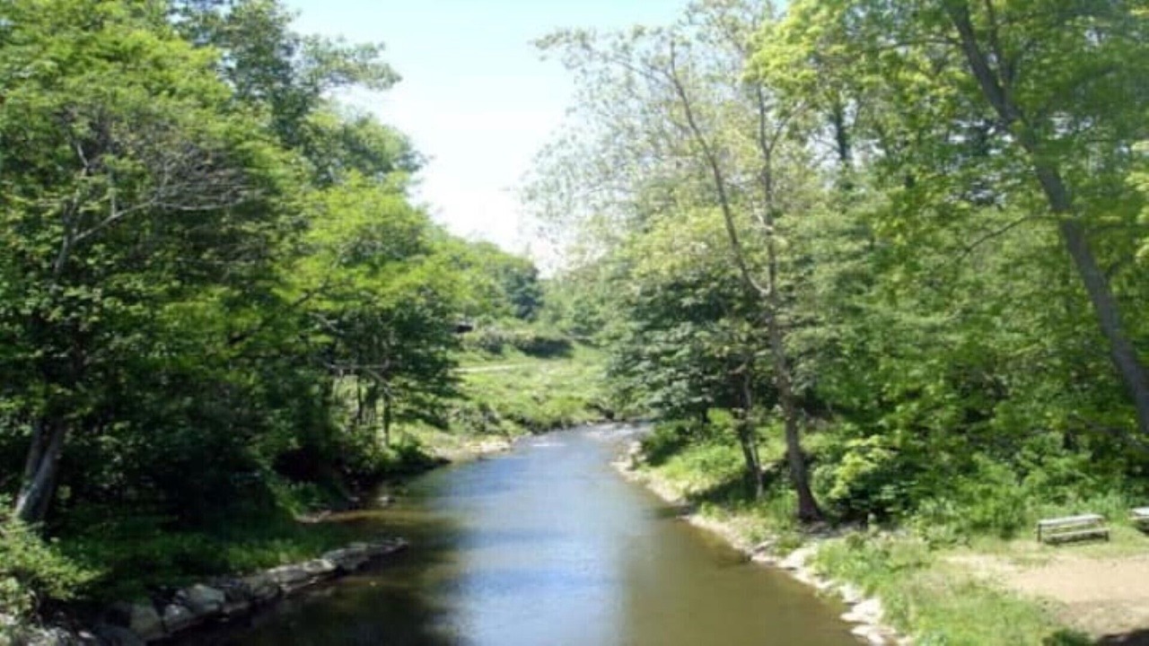 Photo of Outdoor in Frank