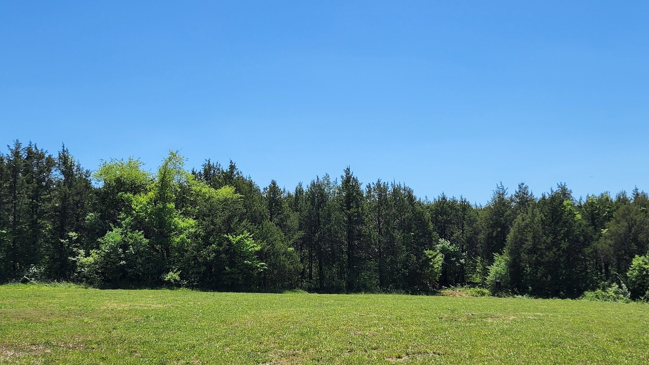 Photo of Others in Leadwood