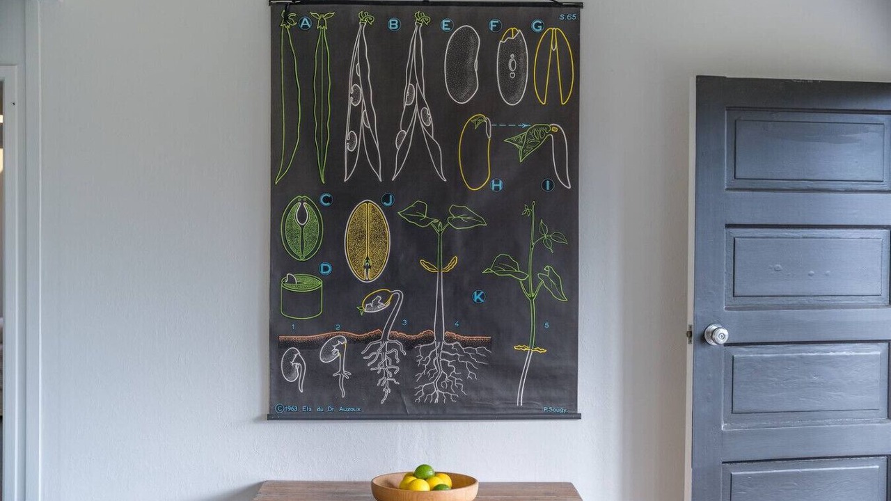 Photo of Others in Taupo