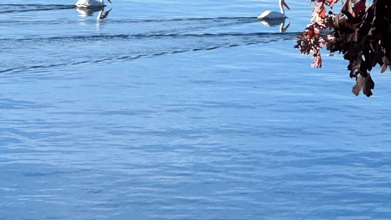 Photo of Others in Lake of the Ozarks
