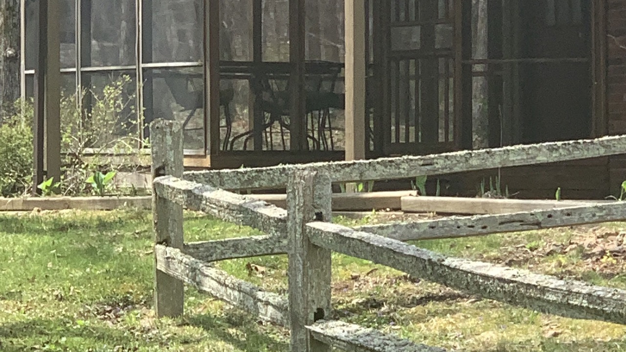 Photo of Outdoor in Arcadia