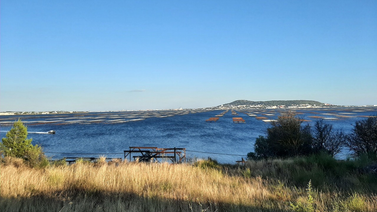 Photo of Outdoor in Aubais