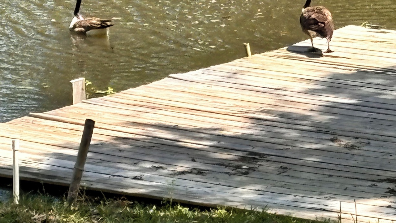 Photo of Outdoor in Hemphill