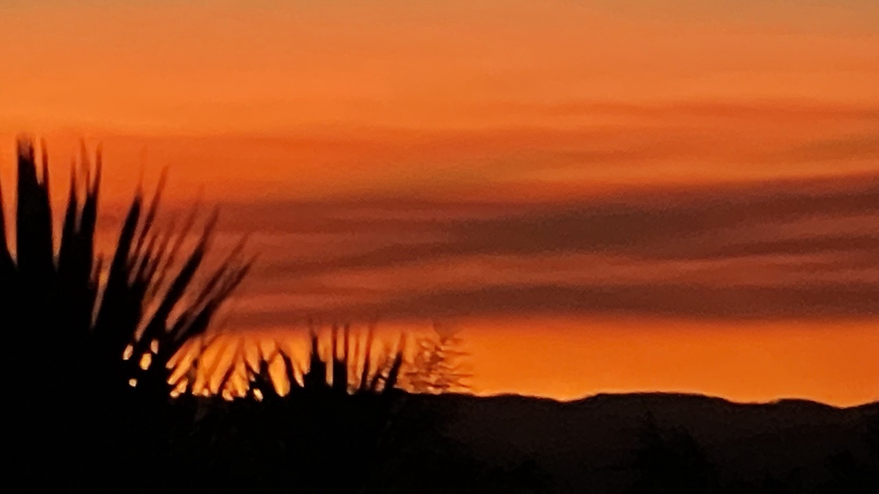 Photo of Others in Whirinaki