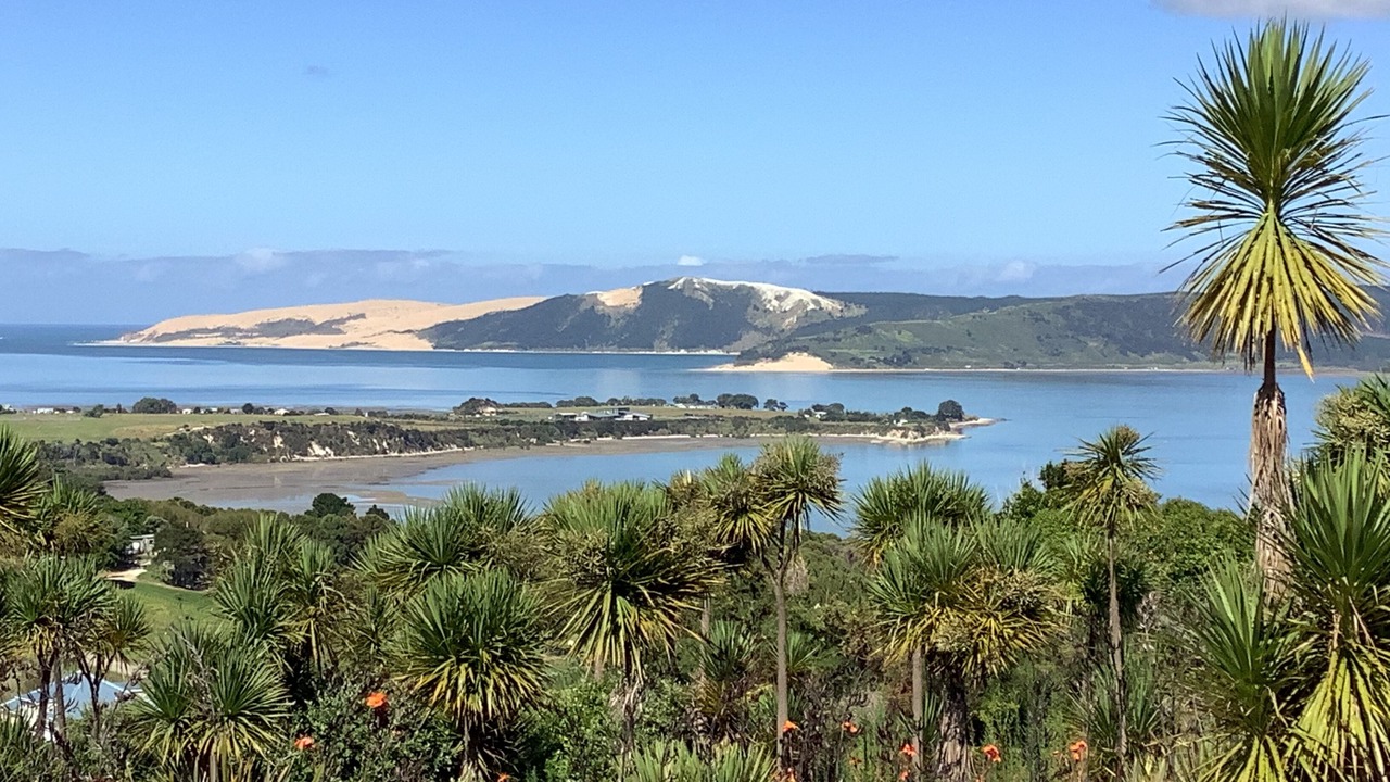 Photo of Others in Whirinaki