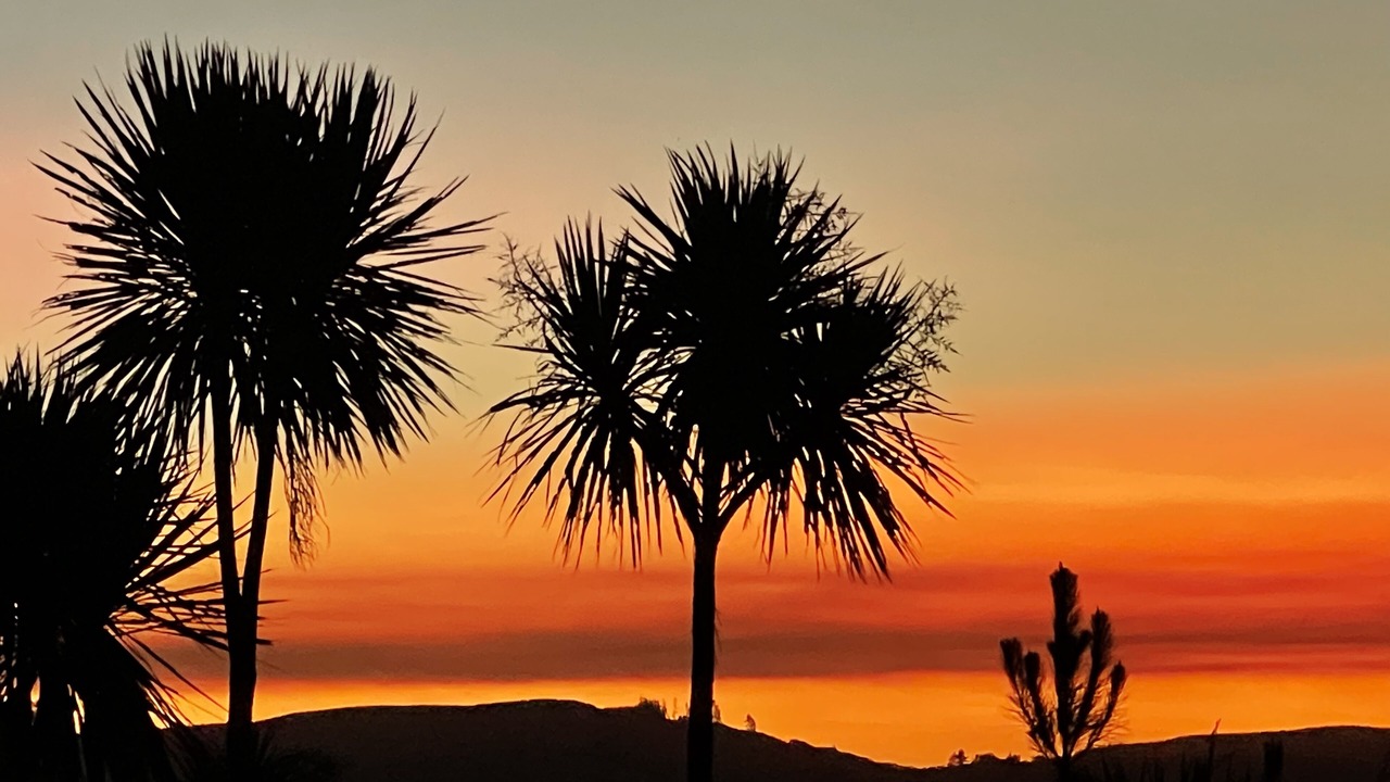 Photo of Others in Whirinaki