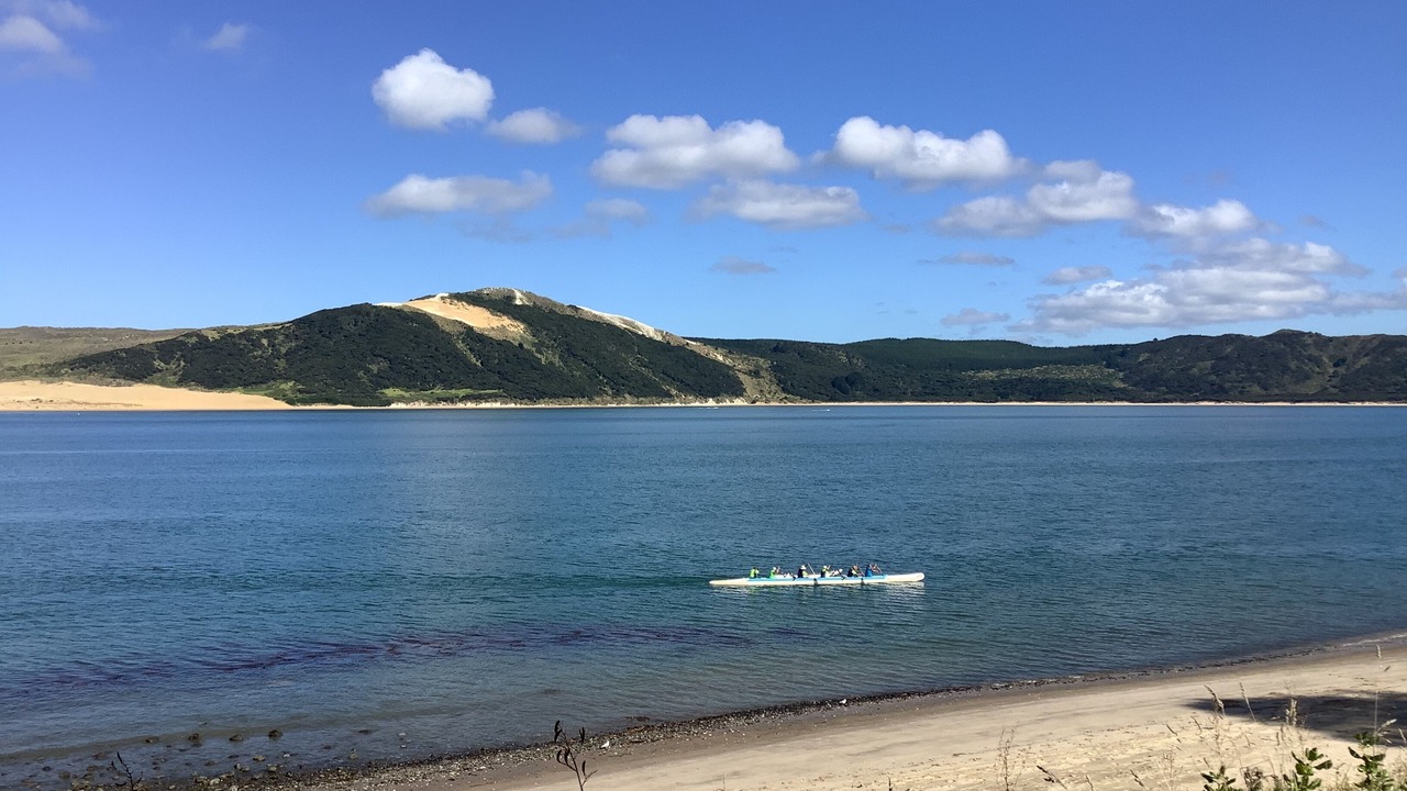 Photo of Others in Whirinaki