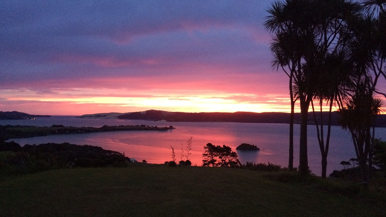 Photo of Outdoor in Whirinaki