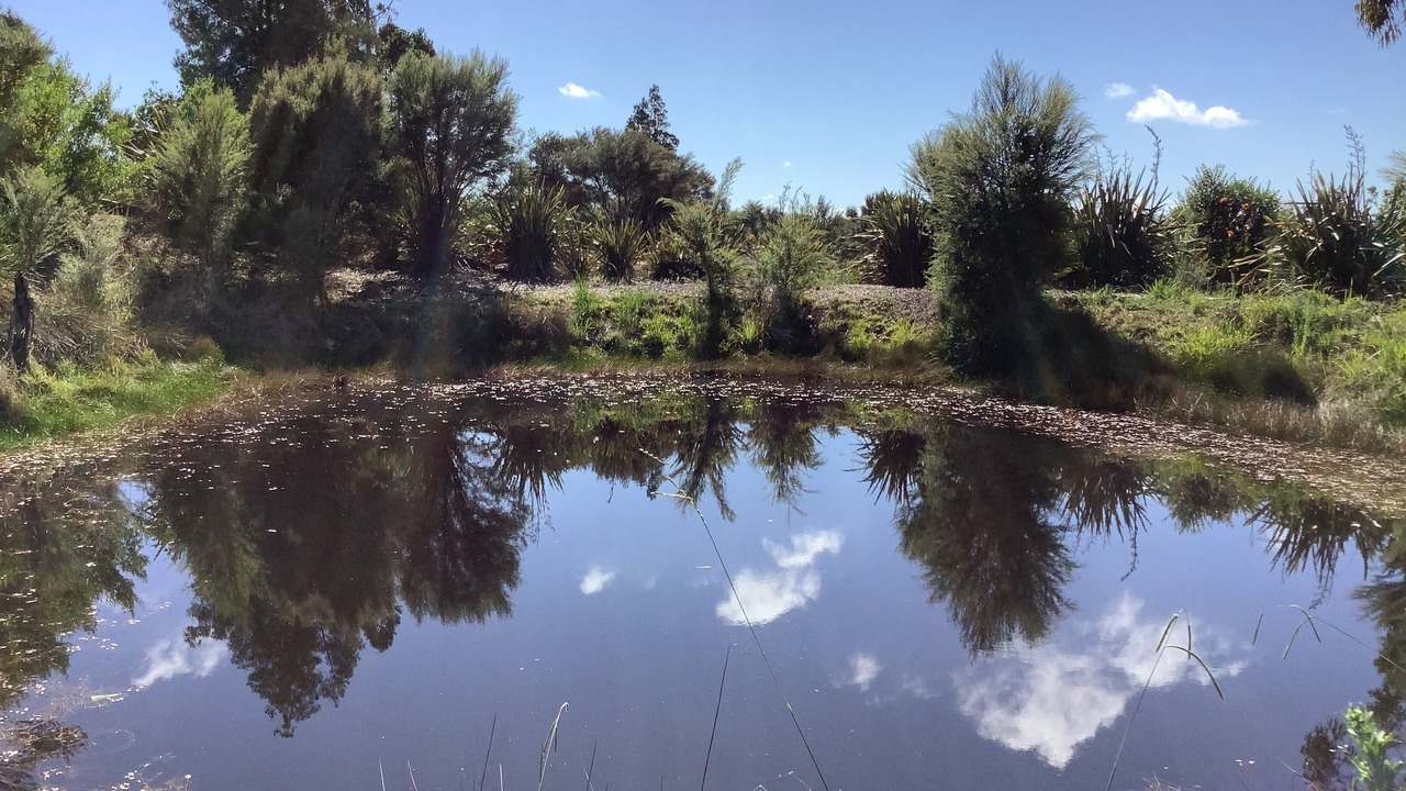 Photo of Outdoor in Whirinaki