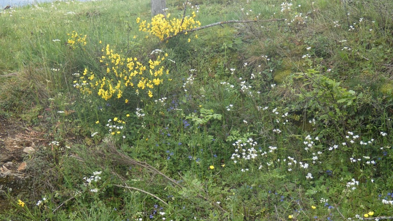 Photo of Outdoor in Pralong