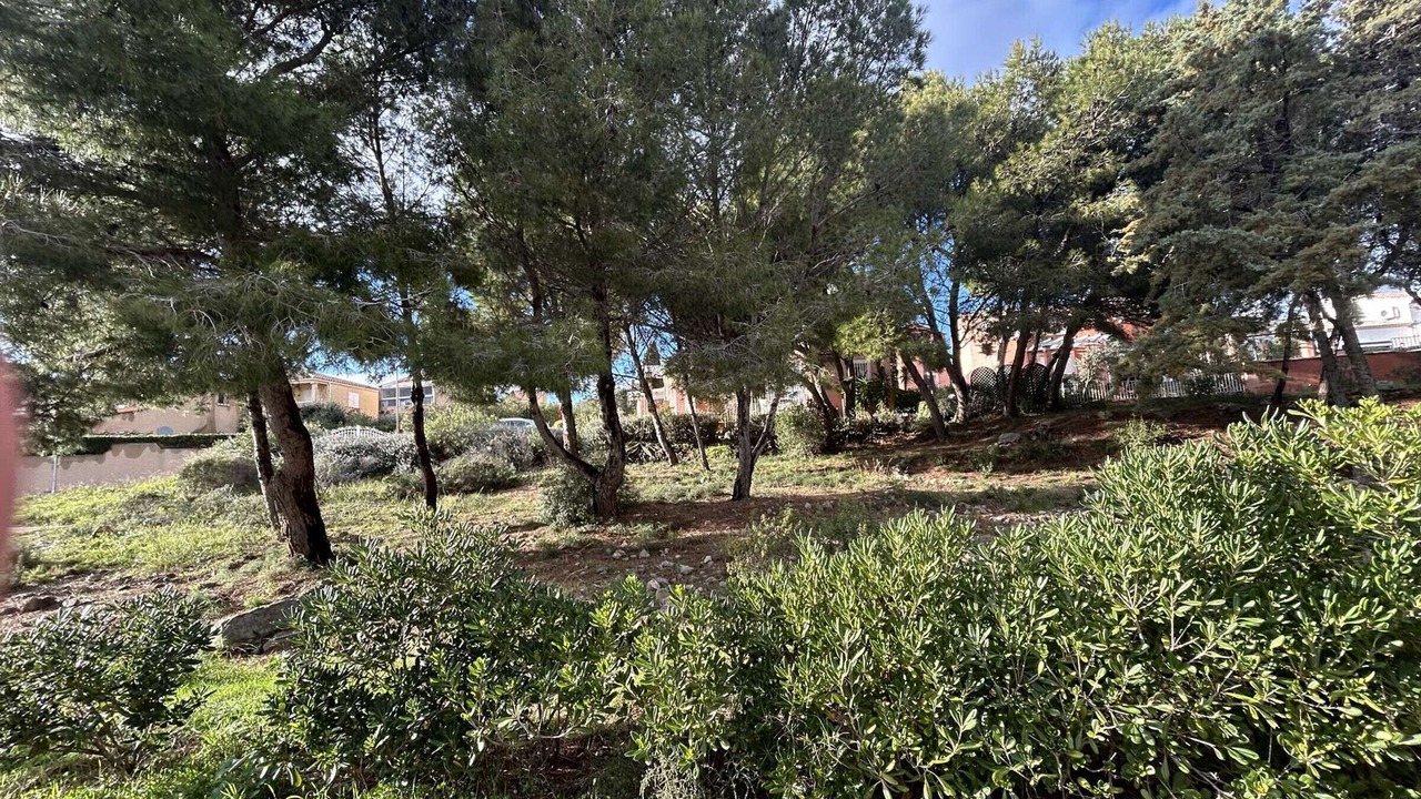 Photo of Outdoor in Foulquines