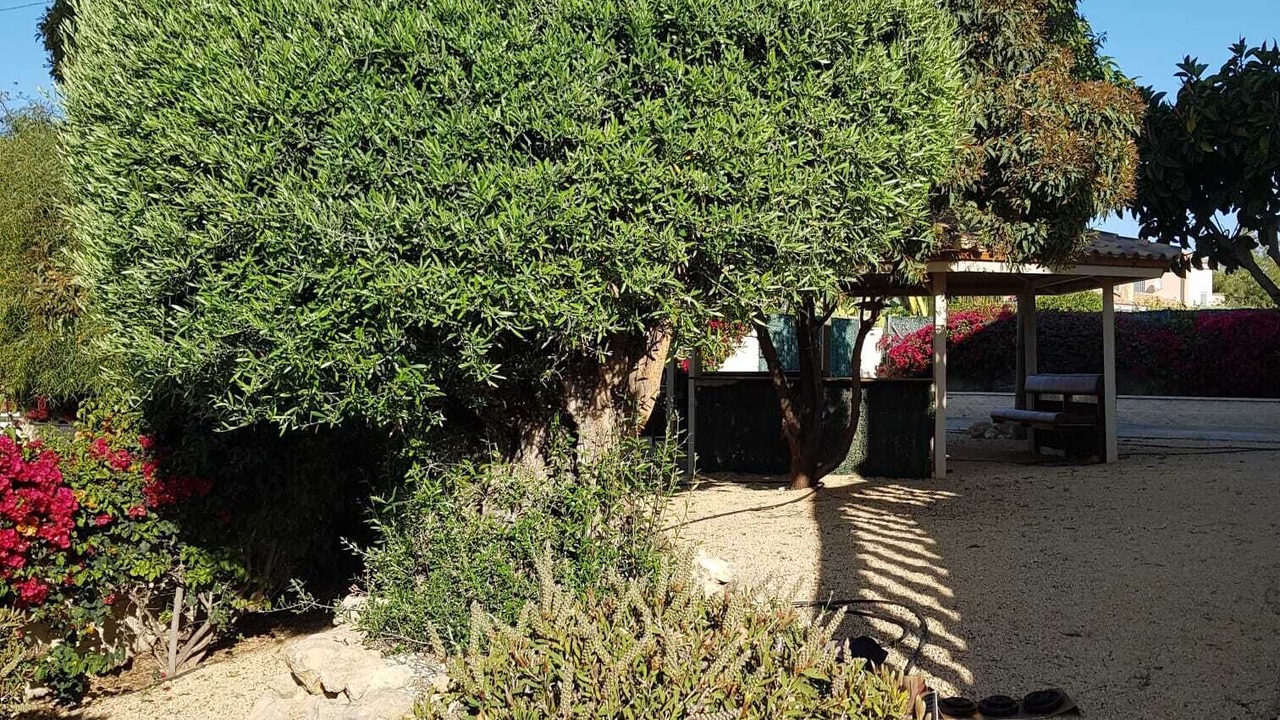 Photo of Outdoor in Mutxamel