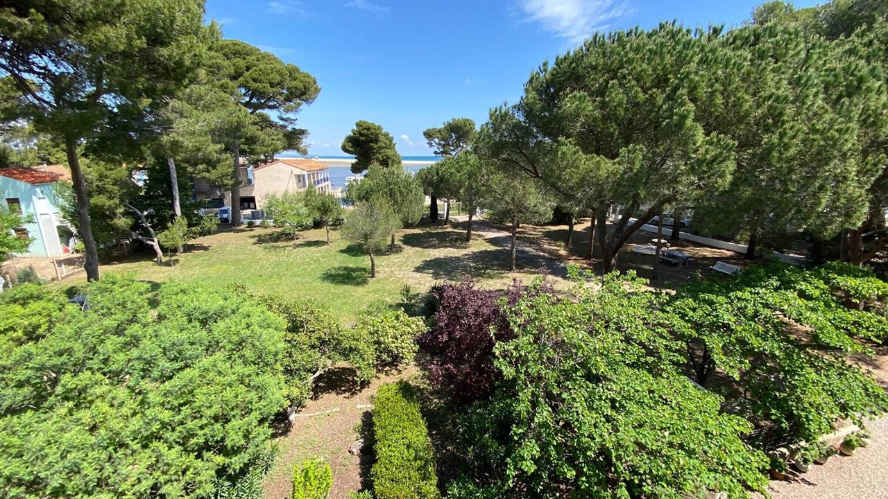 Photo of Outdoor in La Franqui