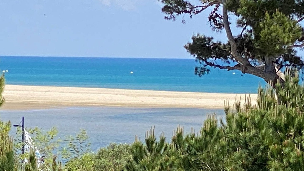 Photo of Others in La Franqui