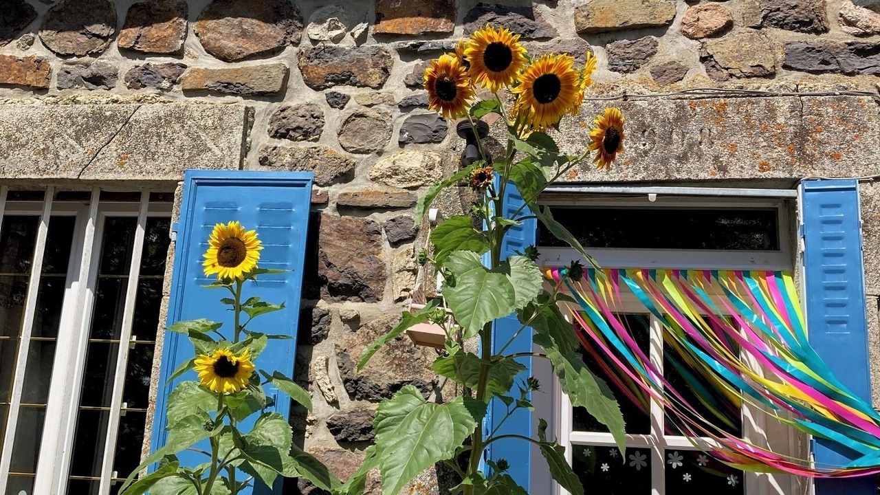 Photo of Outdoor in Riom-es-Montagnes