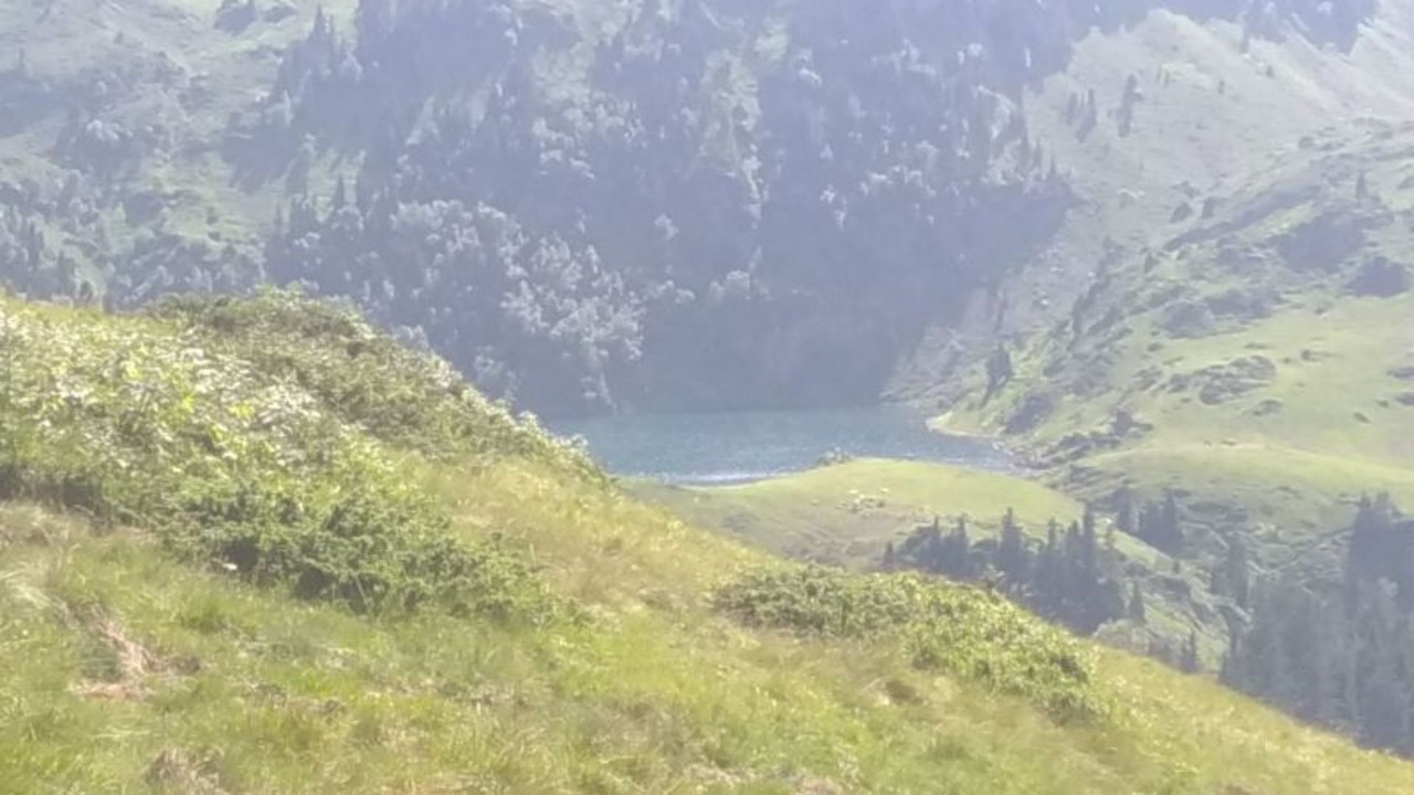 Photo of Others in Bagneres-de-Luchon